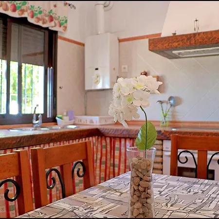 Barrio Nuevo بيت للعطل